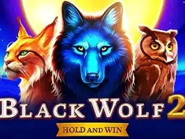 Black Wolf 2 game cover