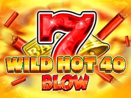 Wild Hot 40 Blow game cover